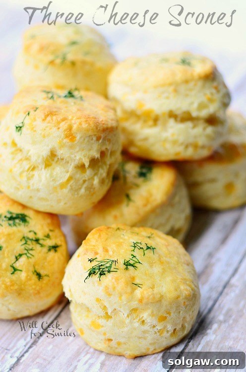 Artisan Three-Cheese Scones 6 Two baked Three Cheese Scones on a baking sheet