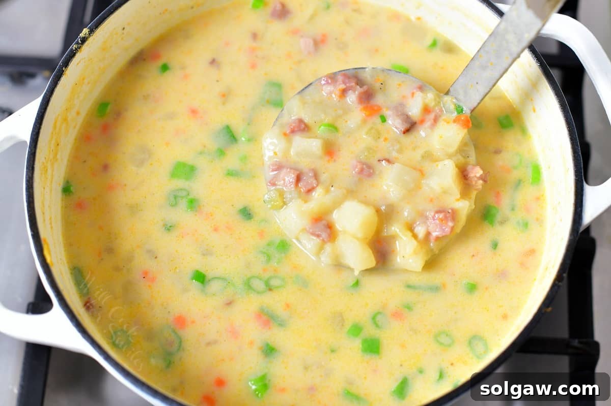 A ladle resting in a pot of cheesy ham and potato soup, ready to be served.