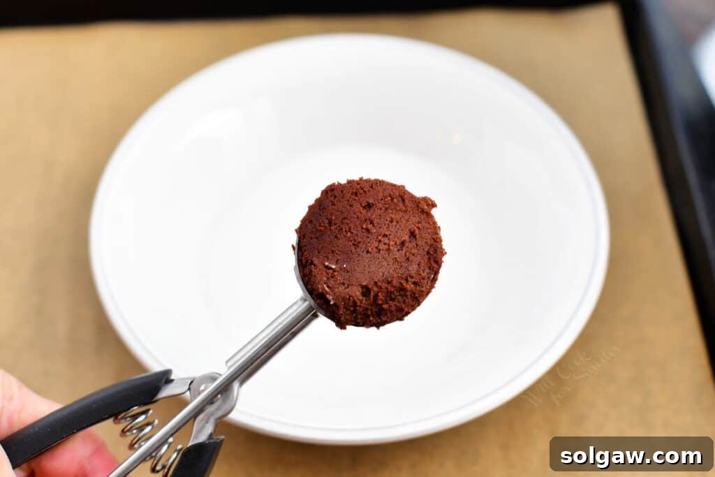 close up image: scoop of chocolate cookie dough