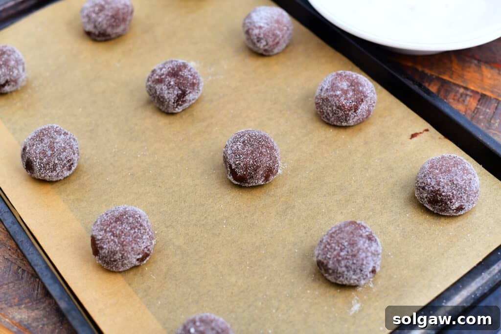 balls of chocolate cookie dough rolled in sugar on baking sheet