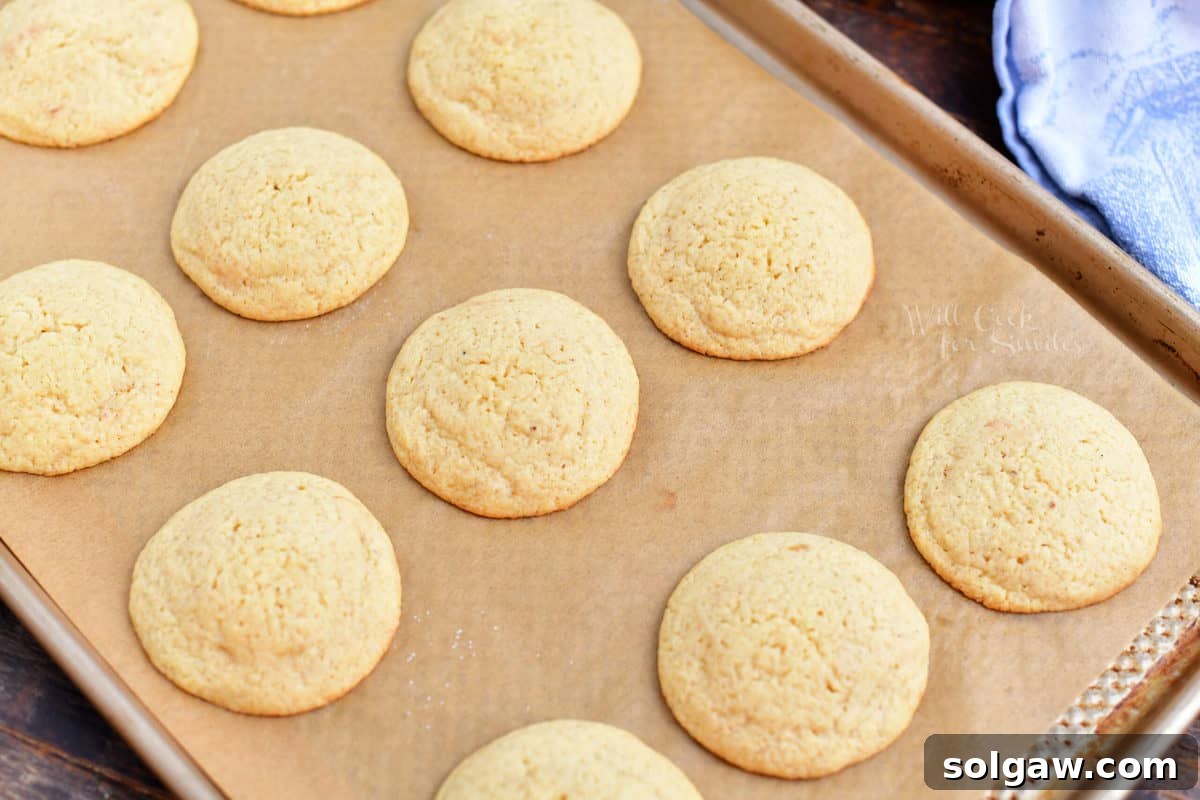 Freshly baked eggnog cookies arranged on a baking sheet, golden around the edges.