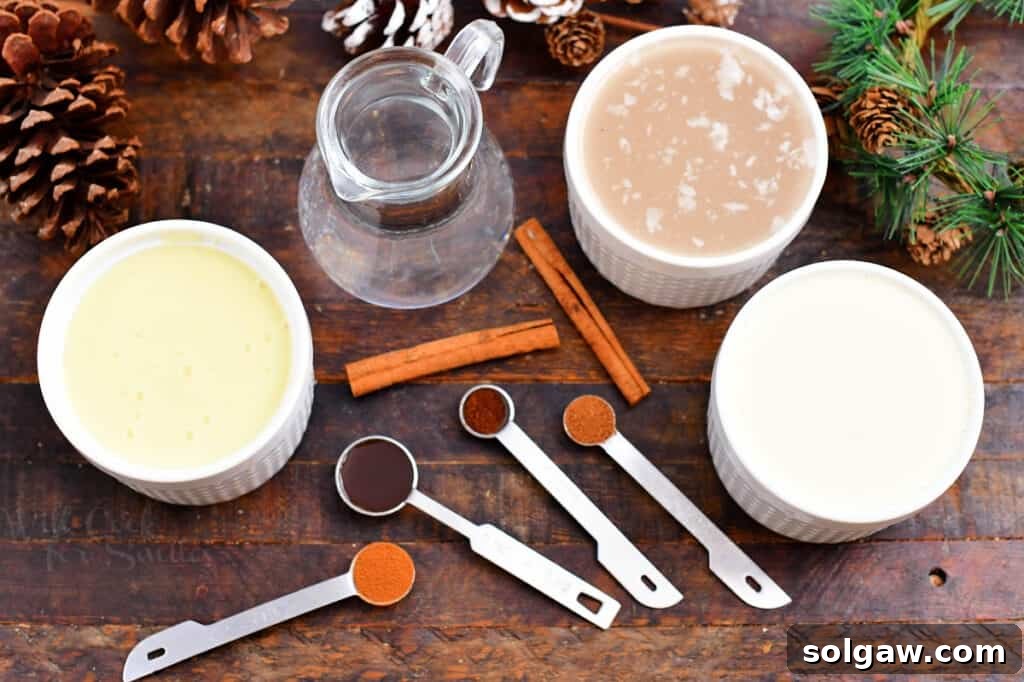 A vibrant overhead shot displaying an array of meticulously arranged ingredients in bowls and measuring spoons, all prepared for crafting a delicious Coquito recipe.