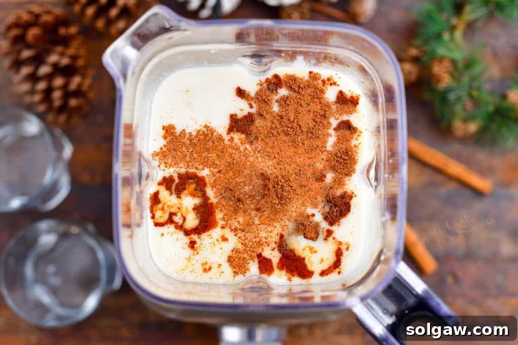 An overhead image showing all the ingredients neatly placed in a blender, ready to be transformed into a delicious Coquito recipe.