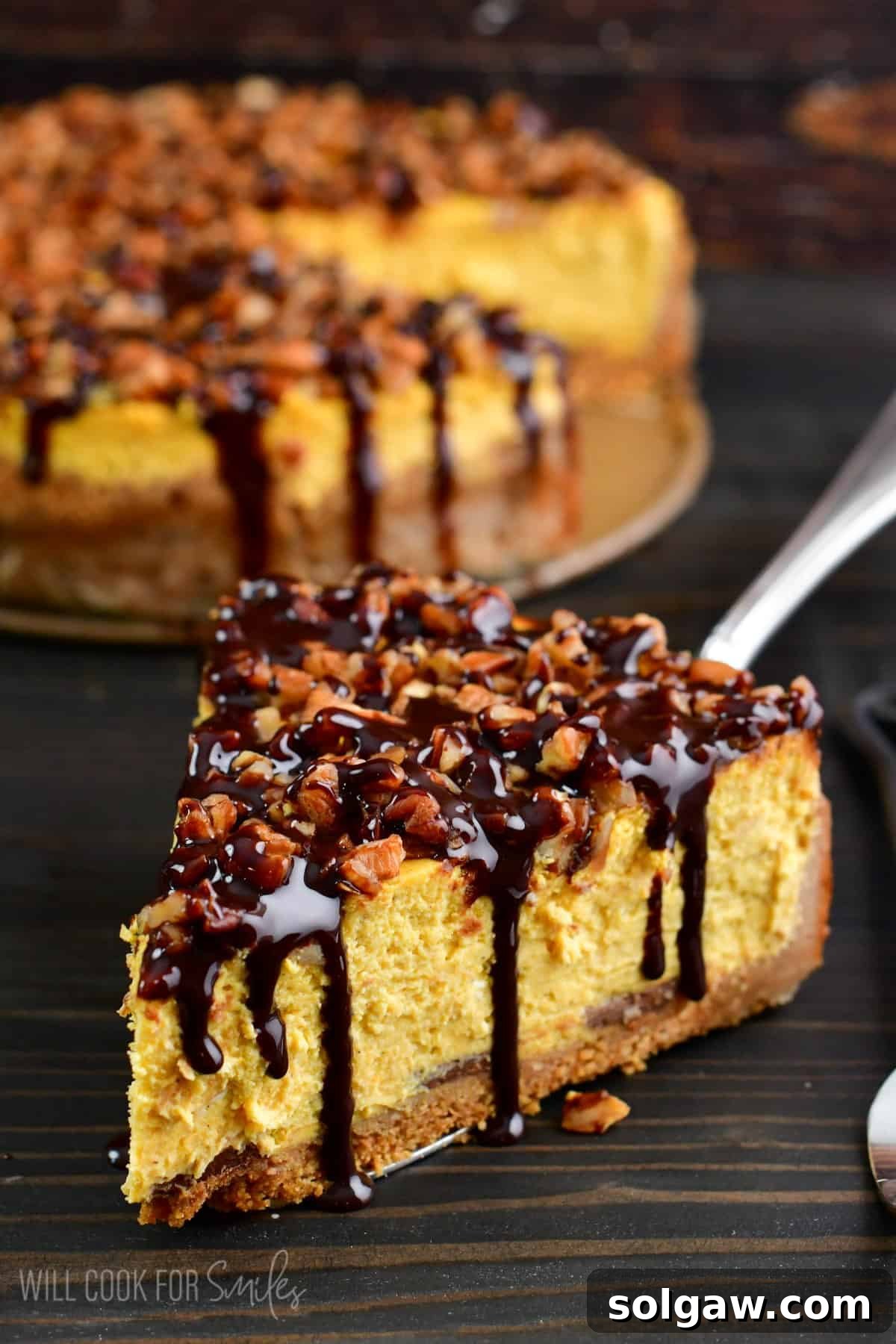 A luxurious slice of chocolate pumpkin cheesecake, perfectly set, adorned with crunchy pecans and a rich drizzle of chocolate syrup.