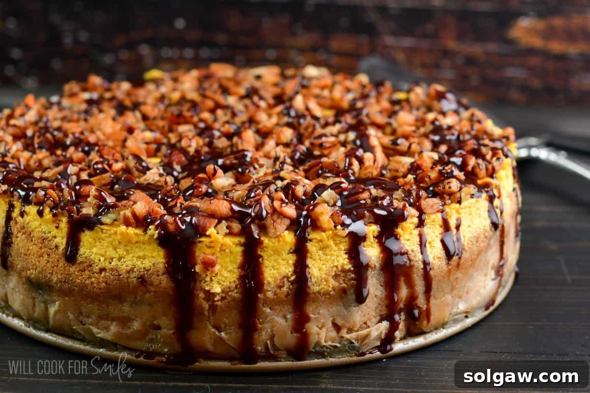 A beautifully baked pumpkin cheesecake, golden-brown, generously topped with chopped pecans and adorned with an artistic drizzle of chocolate syrup.