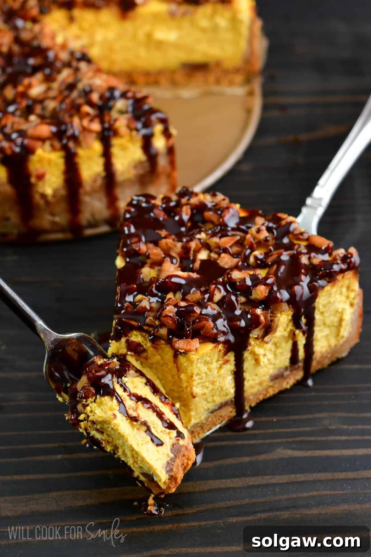 A fork holding a bite of chocolate pumpkin cheesecake, with a full slice displayed on a plate in the background.