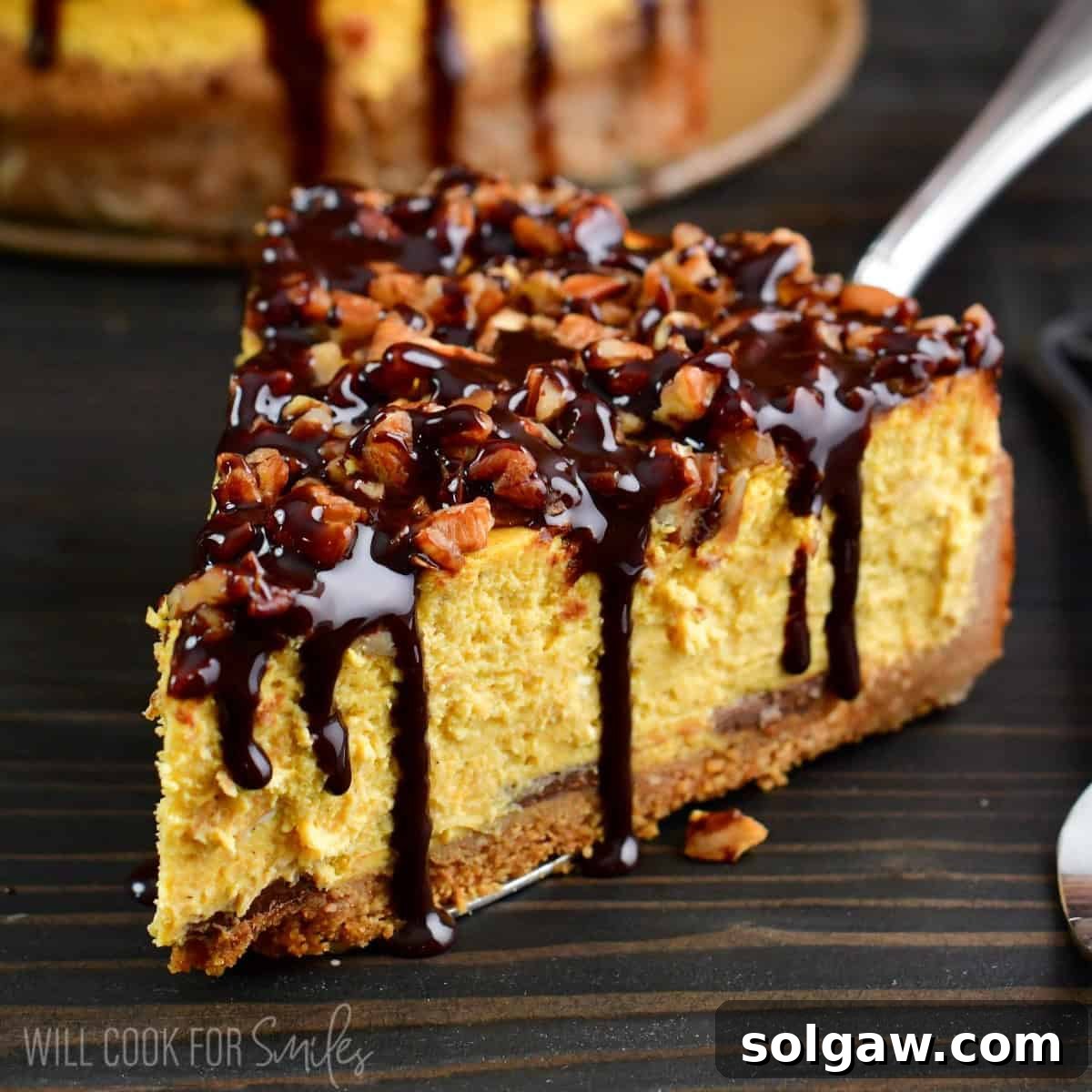 A tempting slice of pumpkin cheesecake on a serving spatula, beautifully topped with a generous amount of chocolate and crunchy pecans.
