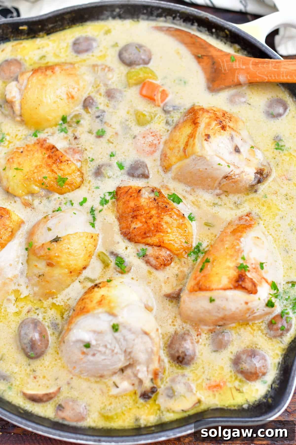 An overhead view of a finished Chicken Fricassee dish, presented in a serving bowl, showcasing the succulent chicken and rich creamy sauce, ready for serving.