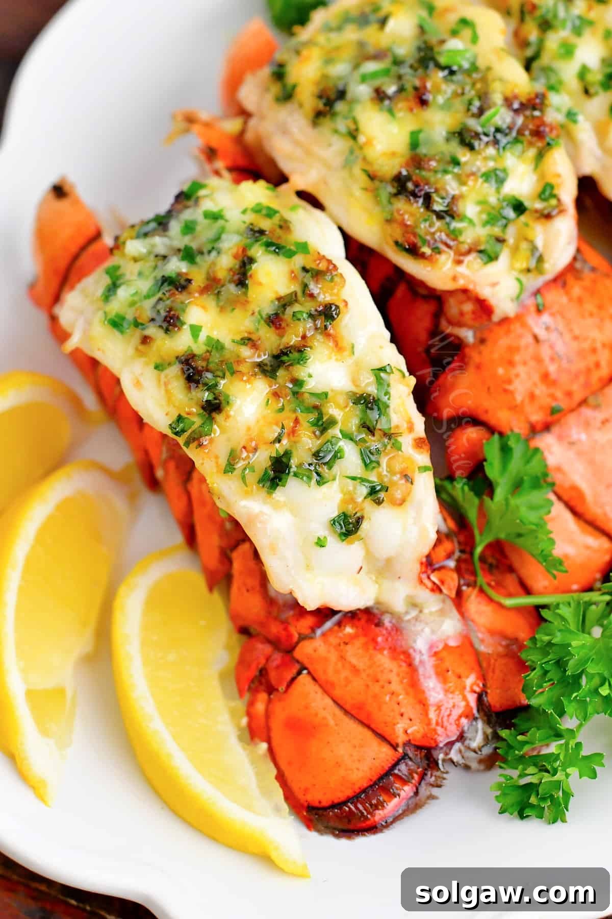 overhead image of a lobster tail on white plate with lemon slices and fresh parsley