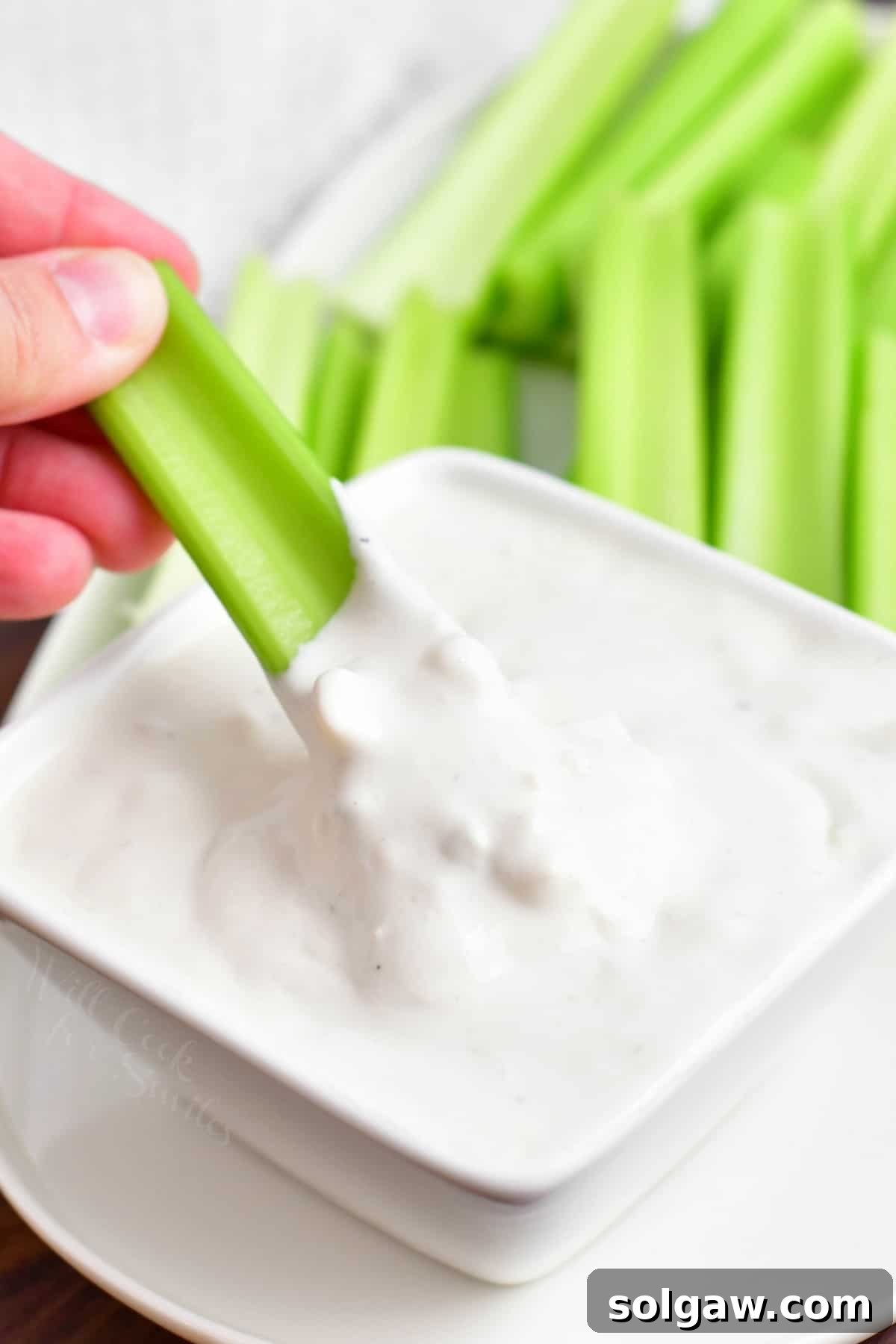 A piece of celery is dipped into a small bowl of blue cheese.