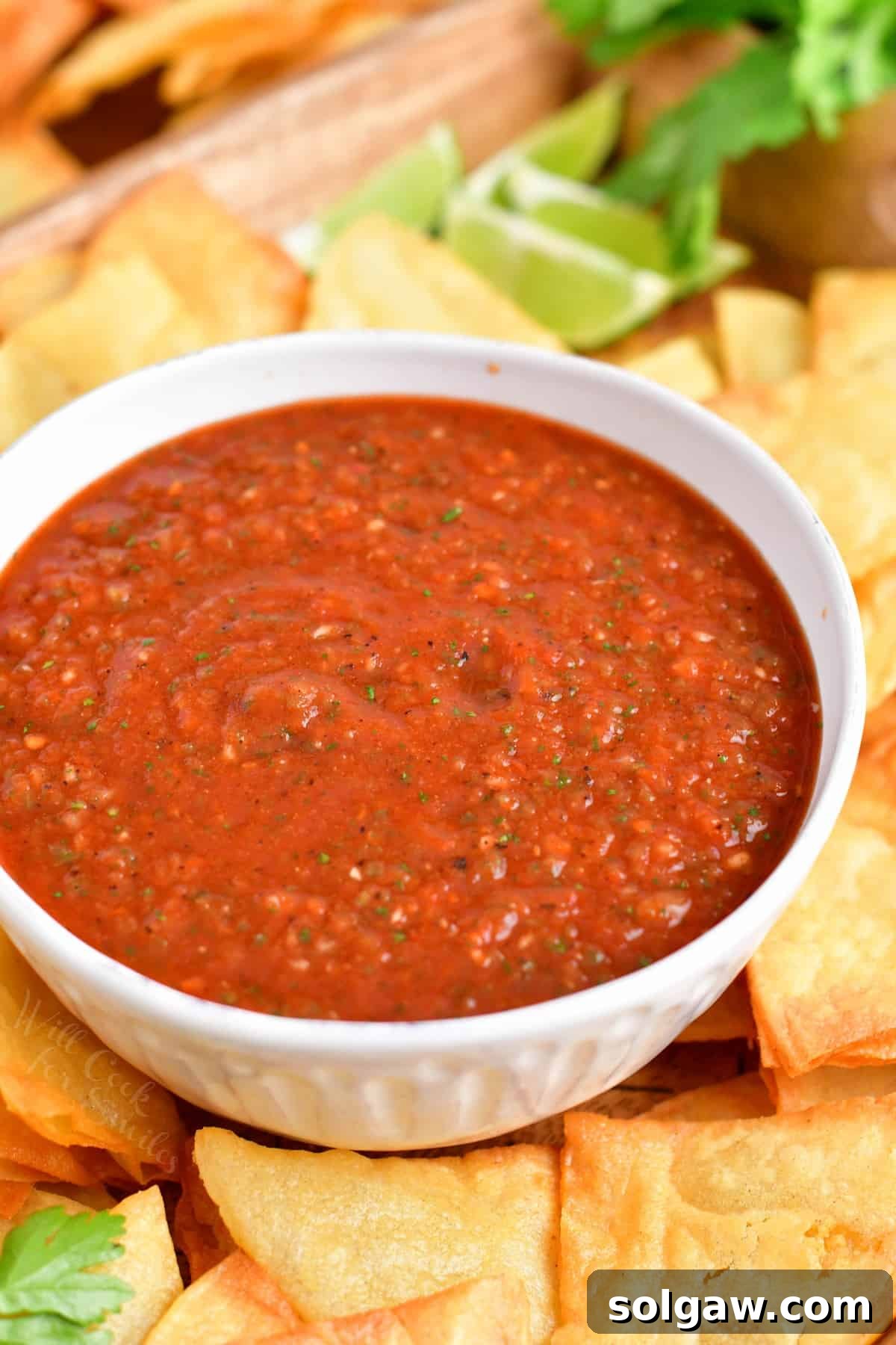 A small white bowl is filled with homemade red salsa, garnished with cilantro.