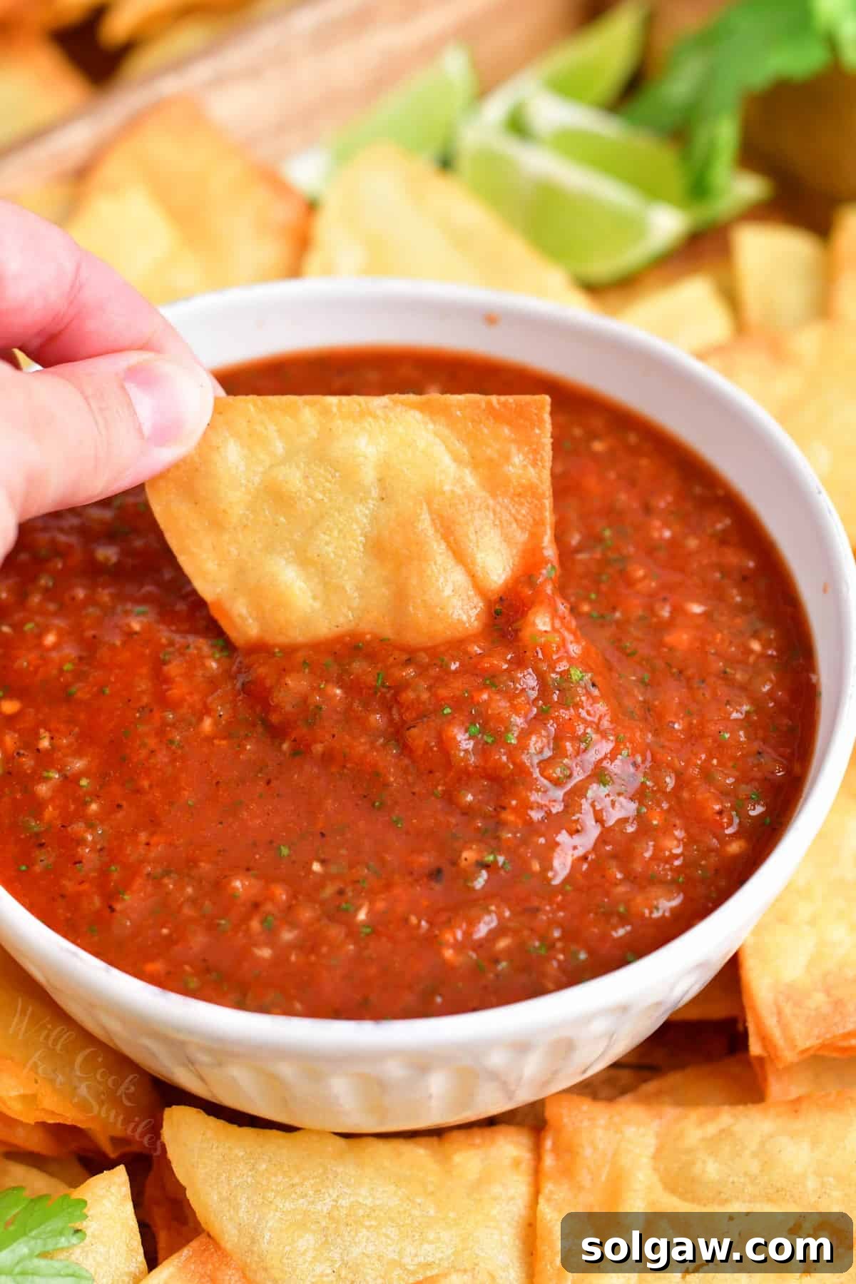 A crispy tortilla chip being dipped into a small white bowl of homemade red salsa, showing its rich texture.