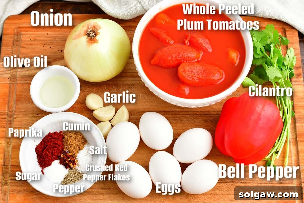 Carefully arranged ingredients for making Shakshuka, including a yellow onion, red bell pepper, garlic cloves, a can of whole peeled tomatoes, and various spices.