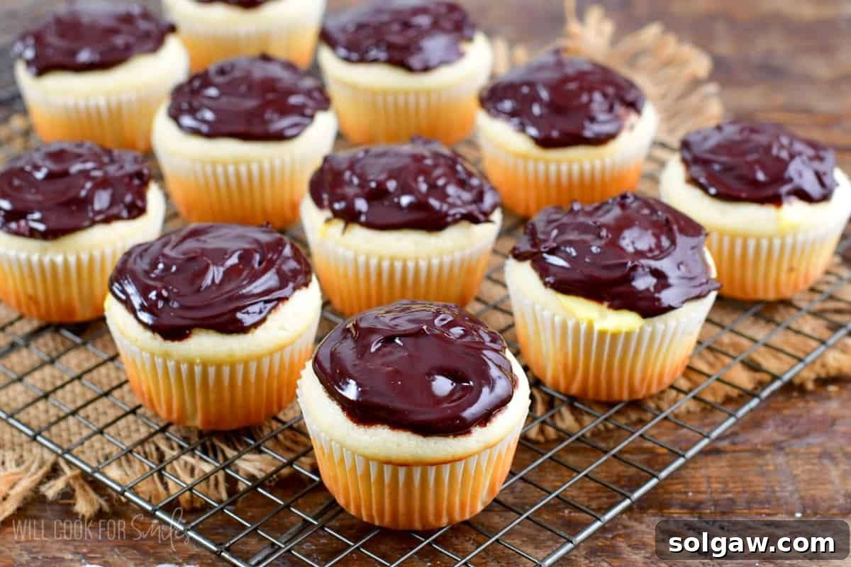 Boston cream cupcakes on a wire cooling rack on a wood surface.
