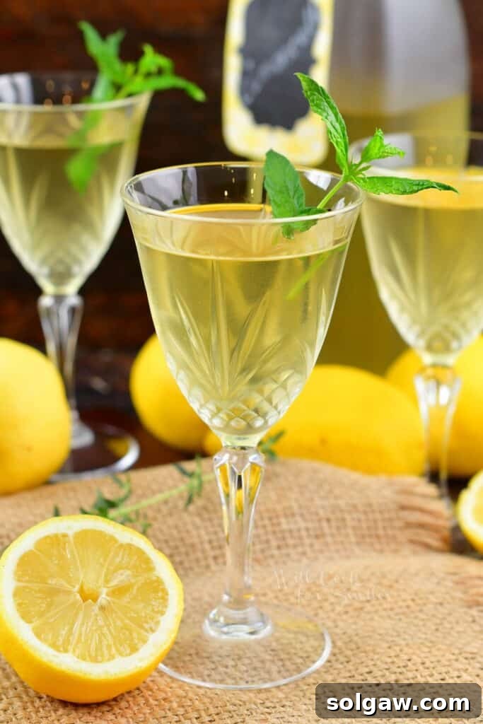 closeup side view of glass filled with limoncello and mint