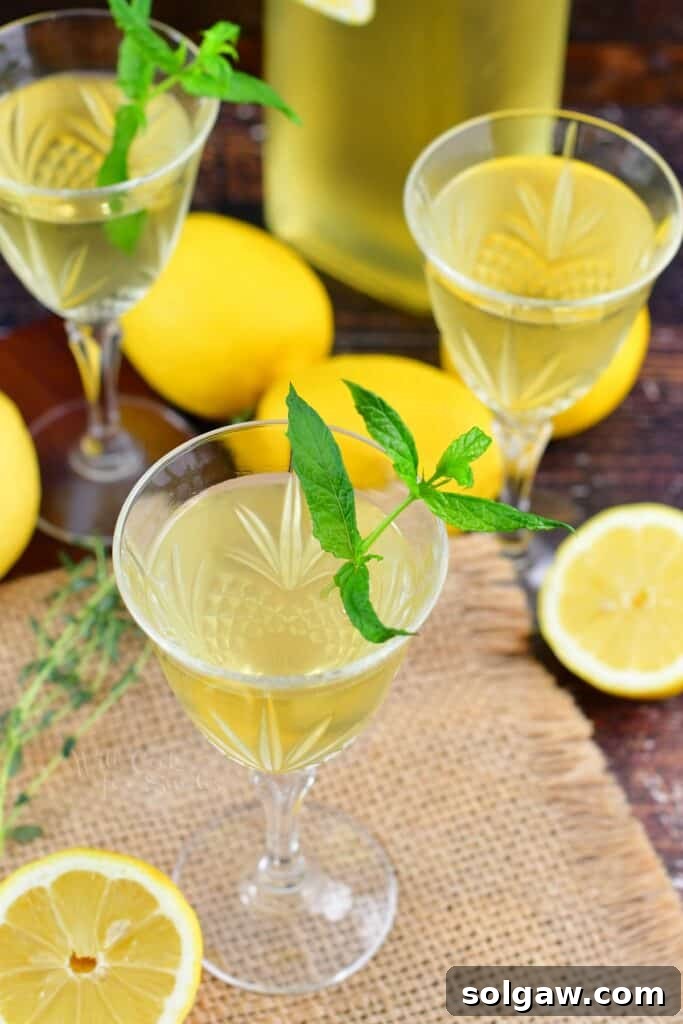 top view of limoncello in glasses with mint and lemons around