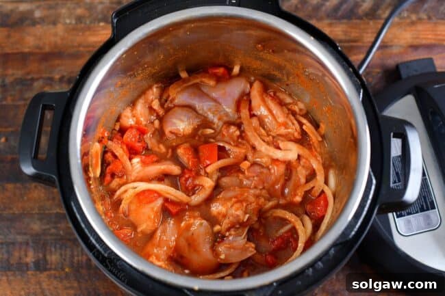 chicken, vegetables, and seasoning combined in an Instant Pot