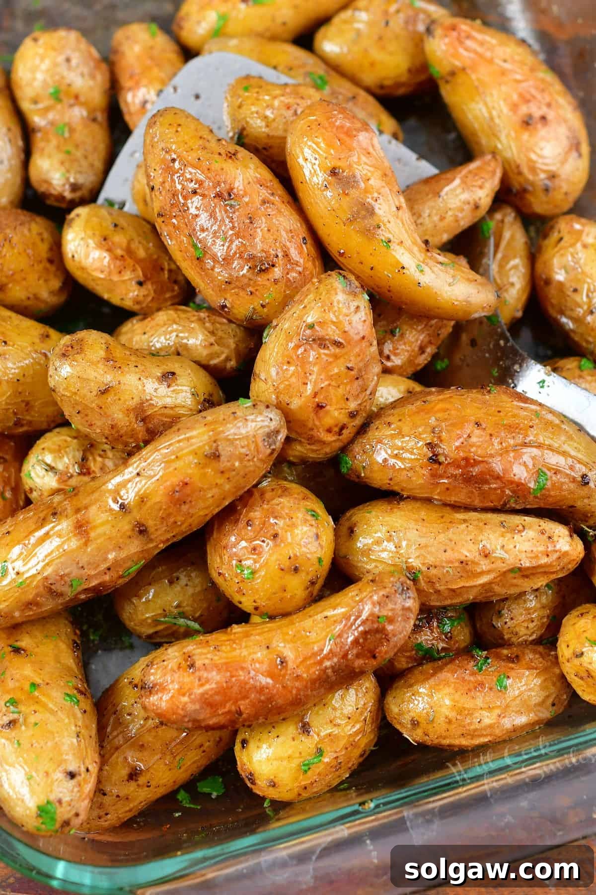 Crispy Golden Fingerling Potatoes 2 Closeup of perfectly roasted fingerling potatoes with fresh herbs, ready to serve from a baking dish