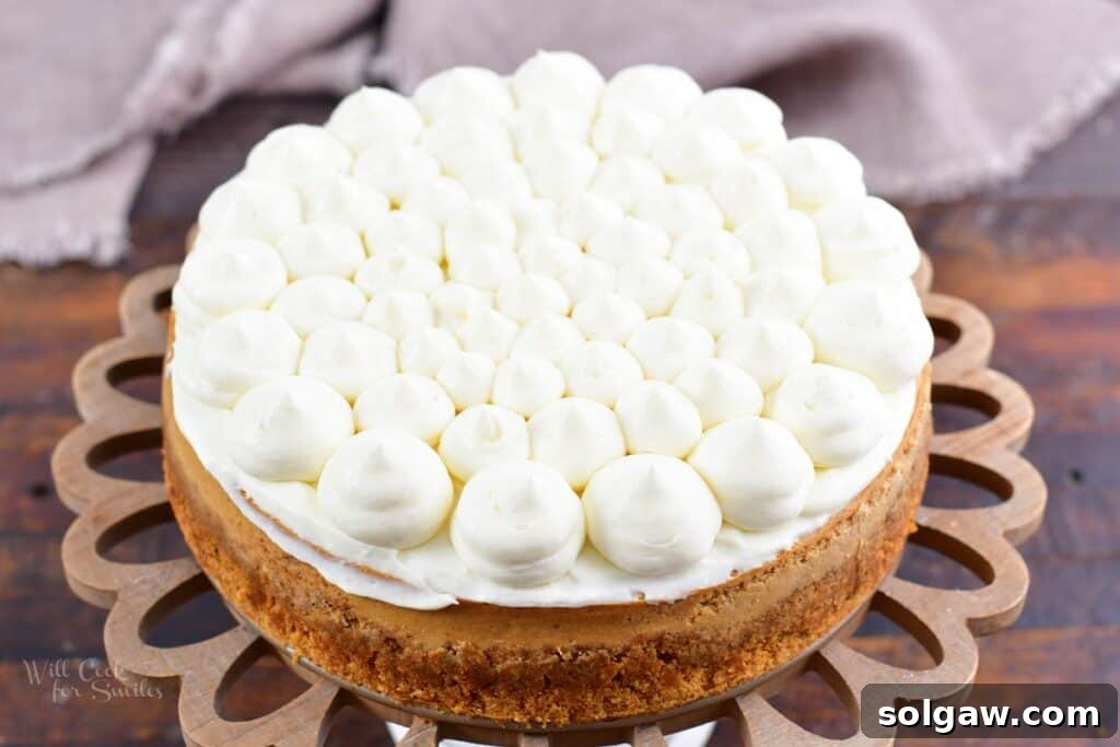 A beautifully frosted gingerbread cheesecake, covered in swirls of maple cream cheese frosting, showcasing its elegant holiday presentation.