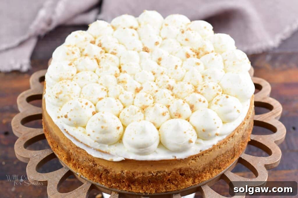 A close-up of a decorated gingerbread cheesecake, featuring maple whipped cream cheese frosting and a generous topping of crushed gingerbread cookies, ready for slicing.