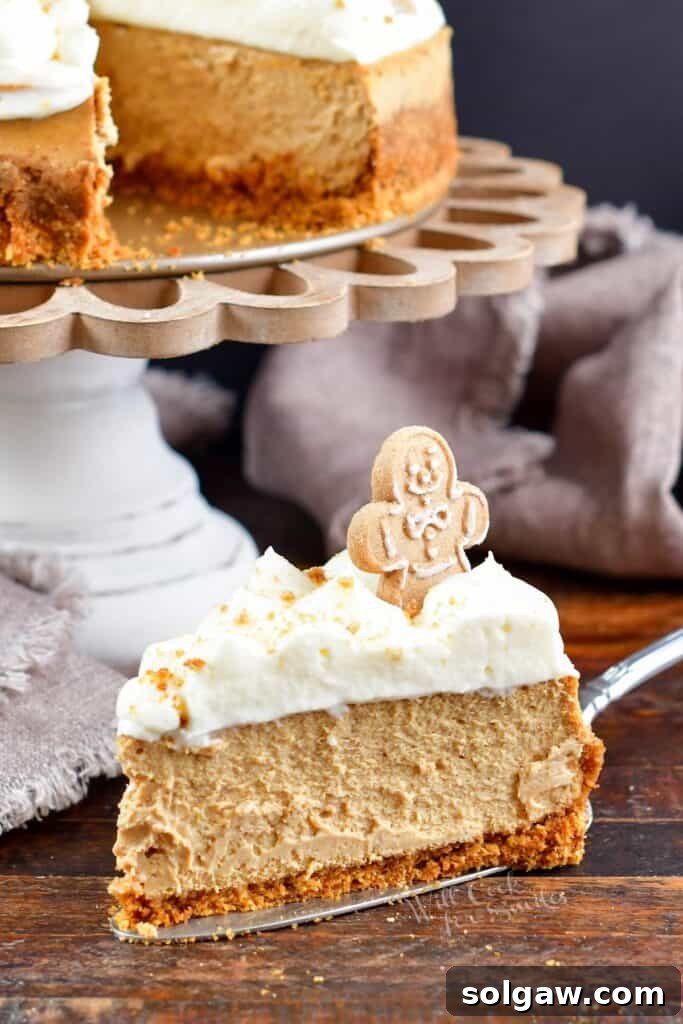 A perfectly cut slice of gingerbread cheesecake on a white plate, positioned next to the remaining cheesecake on a cake stand, showcasing its layers and creamy texture.