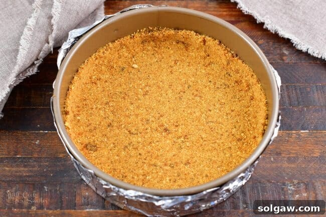 Spiced graham cracker crust mixture evenly pressed into the bottom and slightly up the sides of a greased springform pan, ready for the cheesecake filling.