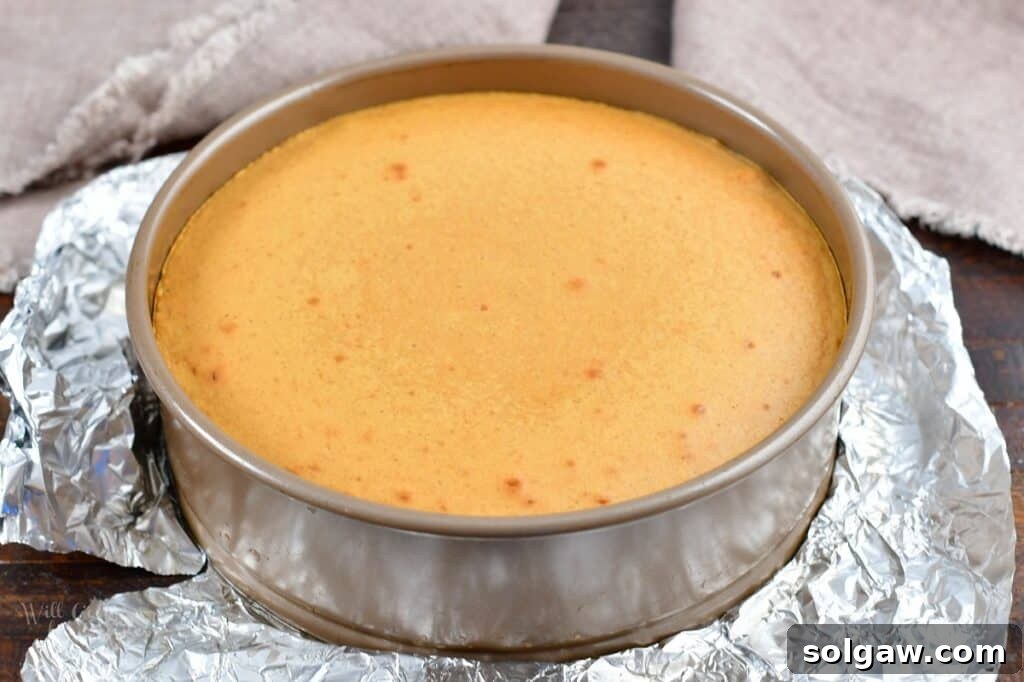 A freshly baked gingerbread cheesecake cooling in its springform pan after being removed from the oven, showing its golden-brown top.