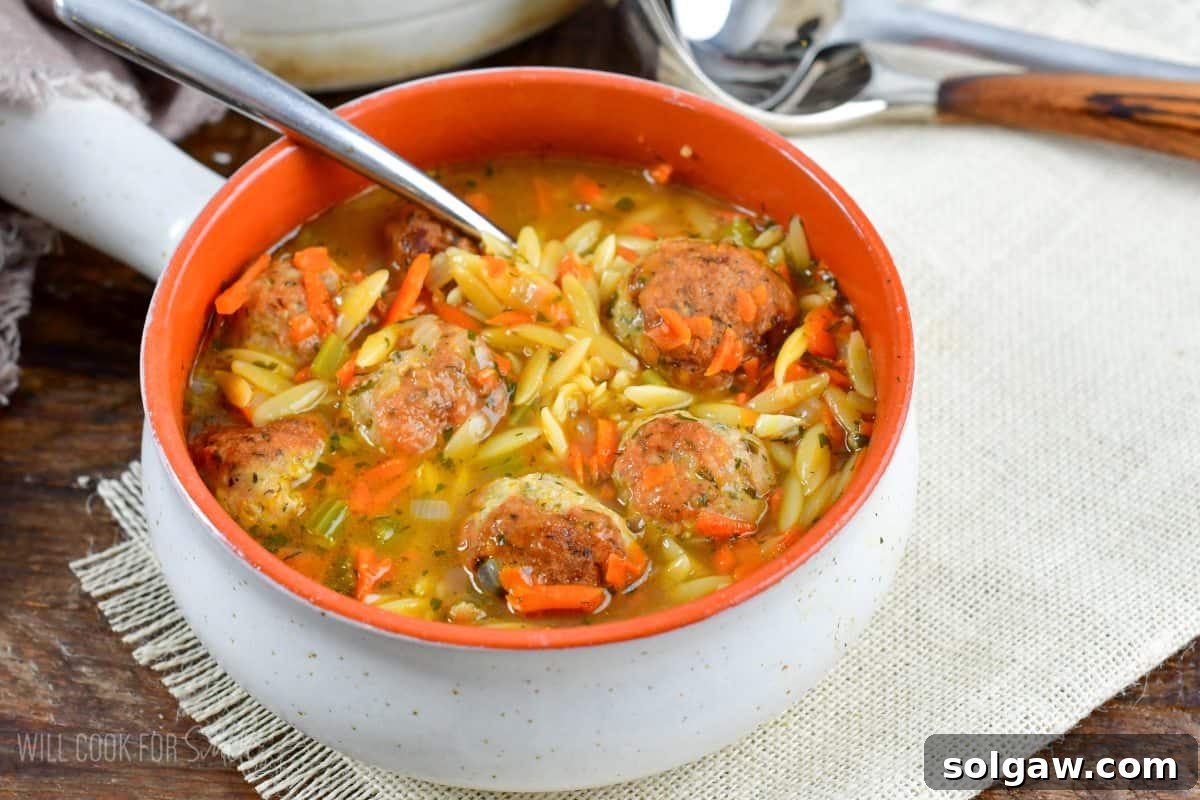 A perfectly portioned bowl of Chicken Meatball and Orzo Soup, served on a placemat with a spoon, inviting you to enjoy its warmth.