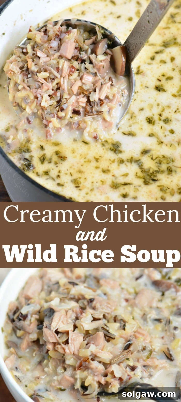 Chicken and Wild Rice Soup Recipe Collage