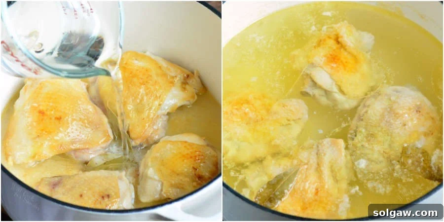 Homemade Chicken Broth for Soup