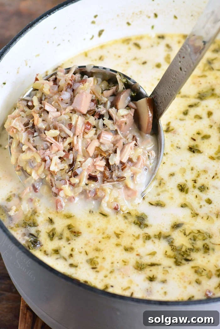 Close-up of Creamy Chicken and Wild Rice Soup