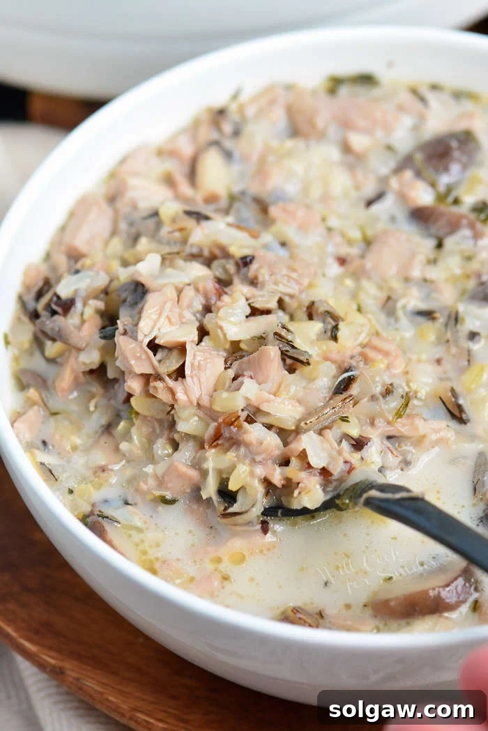 Collage of Chicken and Wild Rice Soup images for Pinterest