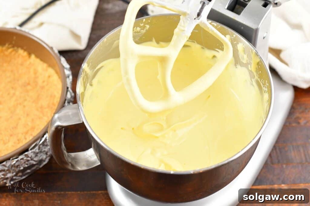 Creamy ricotta cheesecake filling being mixed in a stand mixer, showcasing its smooth texture.