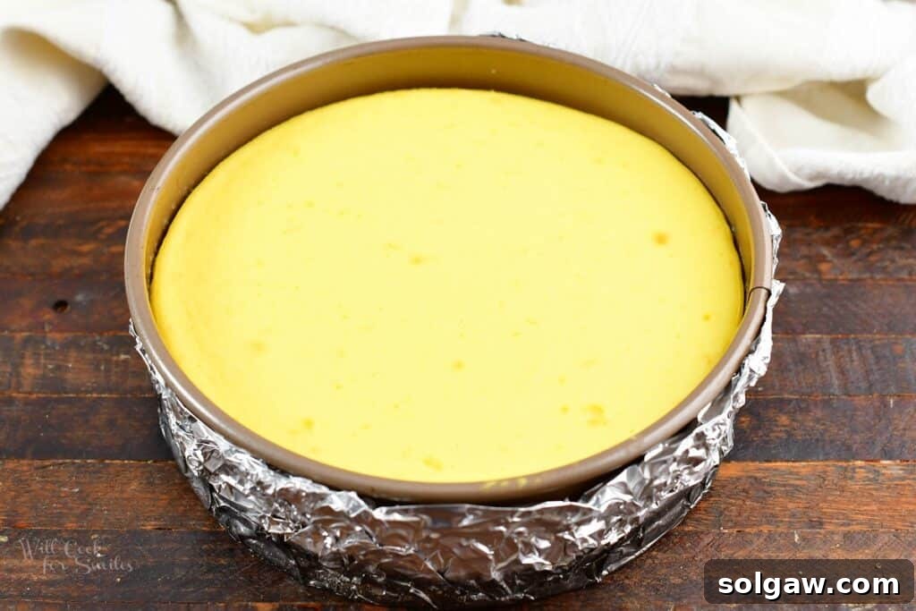 A perfectly baked ricotta cheesecake, golden and set, resting in its springform pan after coming out of the oven.