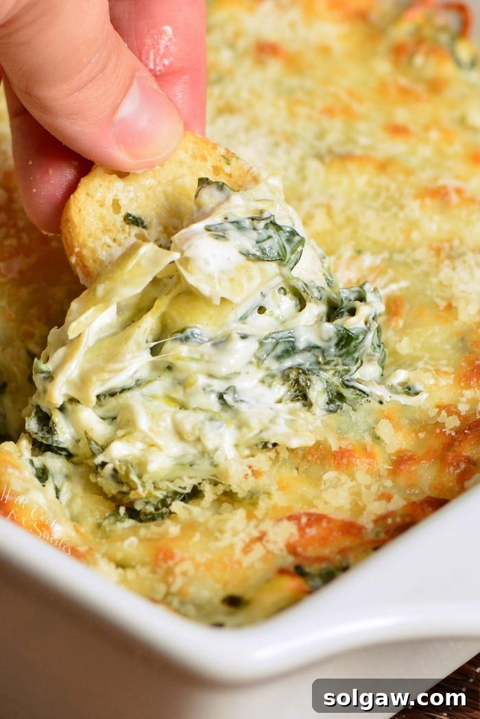A circular image featuring a freshly baked spinach artichoke dip, golden and inviting.