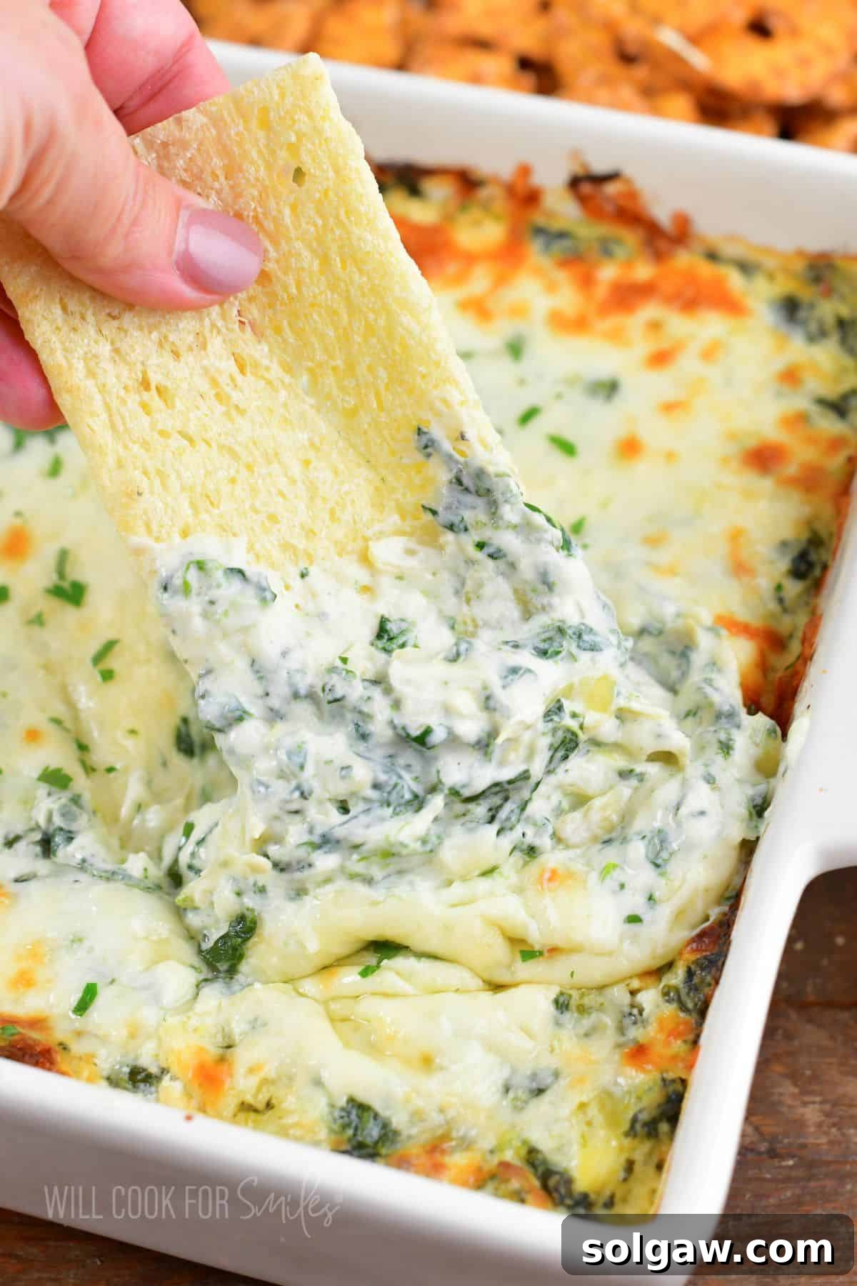 A large, perfectly baked cracker loaded with a generous portion of warm, creamy, and cheesy spinach artichoke dip, poised to be savored.