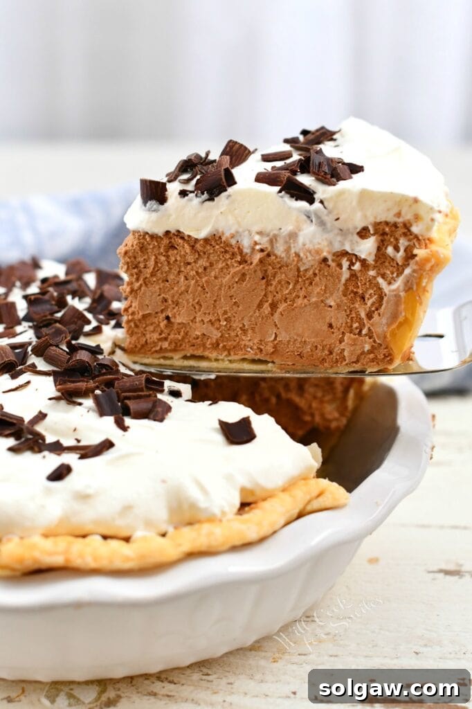 side view: removing slice of chocolate mousse pie from the pan, showcasing its layers