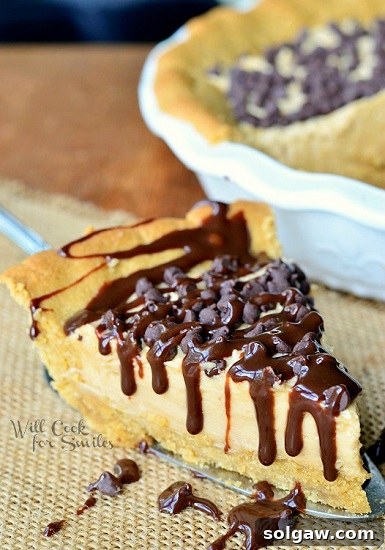 Decadent Pecan Caramel Pumpkin Pie 7 A slice of Peanut Butter Cookie Peanut Butter Cheesecake Pie, showcasing its rich layers.