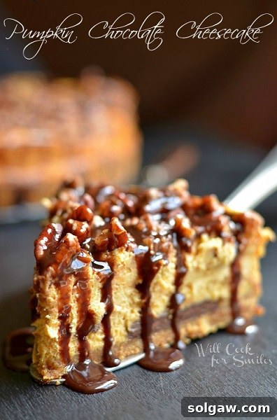 Decadent Pecan Caramel Pumpkin Pie 9 A rich slice of Chocolate Pumpkin Cheesecake, a perfect blend of fall flavors.