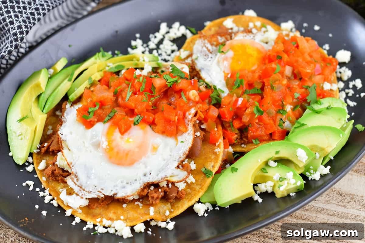 A top-down view of beautifully arranged Huevos Rancheros with various toppings like avocado, cilantro, and chili peppers.