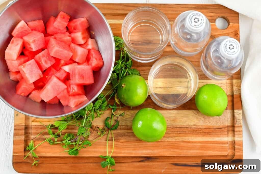 Ingredients for a Watermelon Mojito laid out