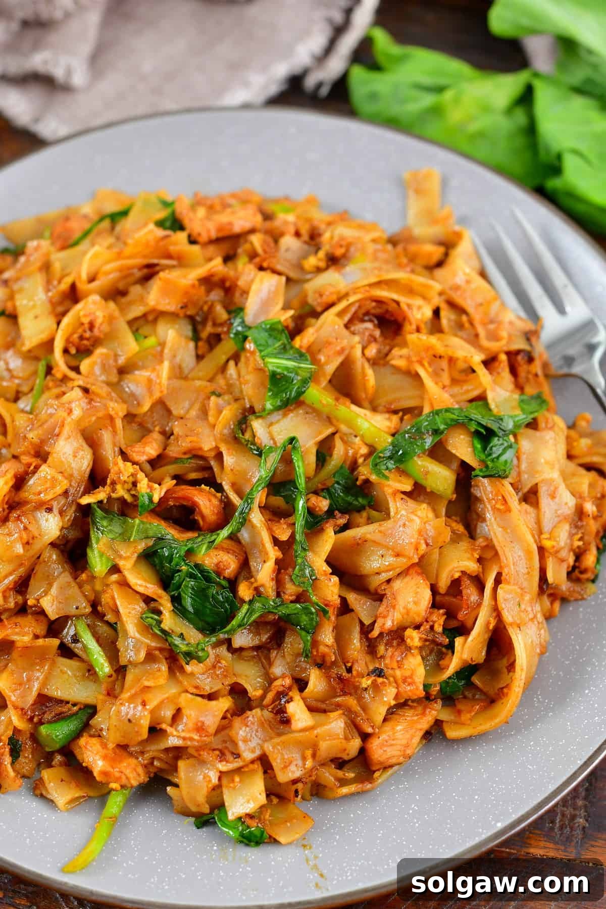 Closeup top view of stir-fried noodles on a plate, showcasing the rich color and texture of authentic Pad See Ew.