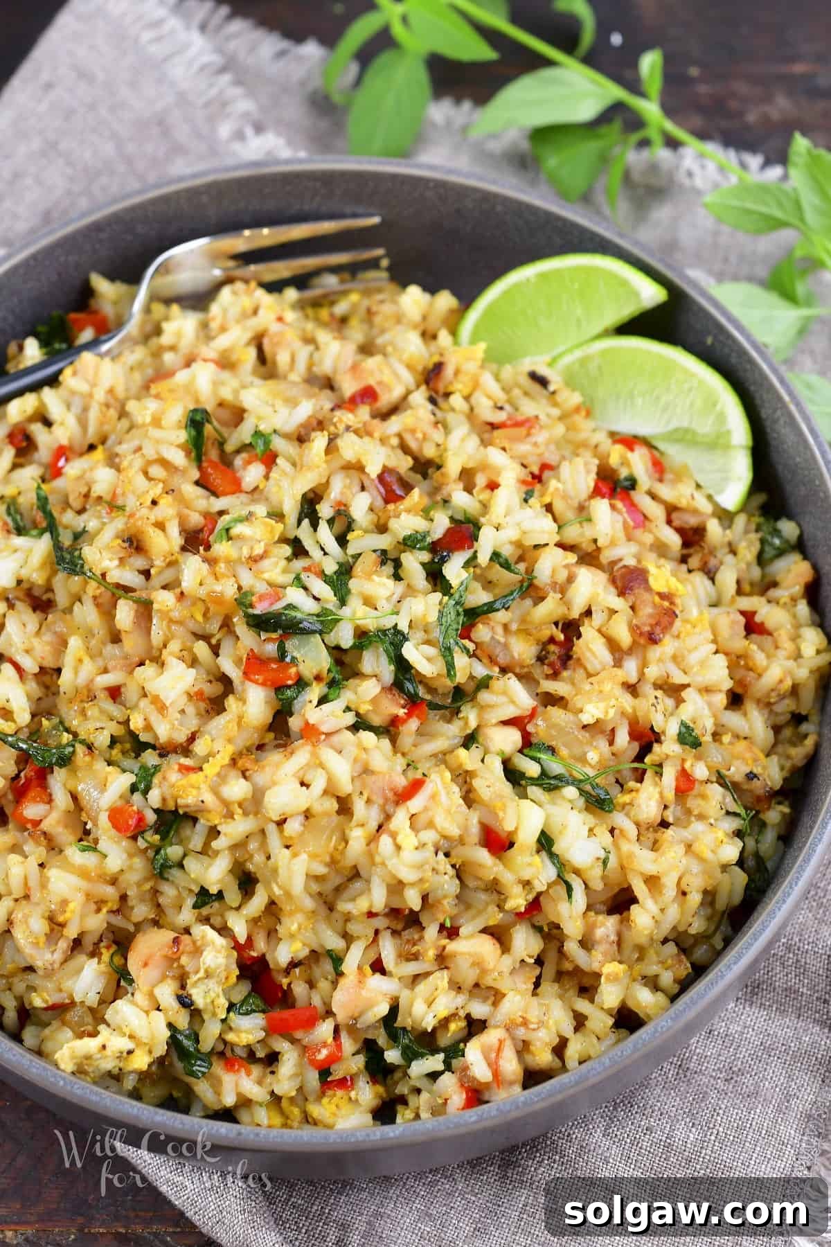 A closer top-down perspective of Thai Basil Fried Rice served in a stylish grey bowl, showcasing the rich colors and inviting texture of the dish.