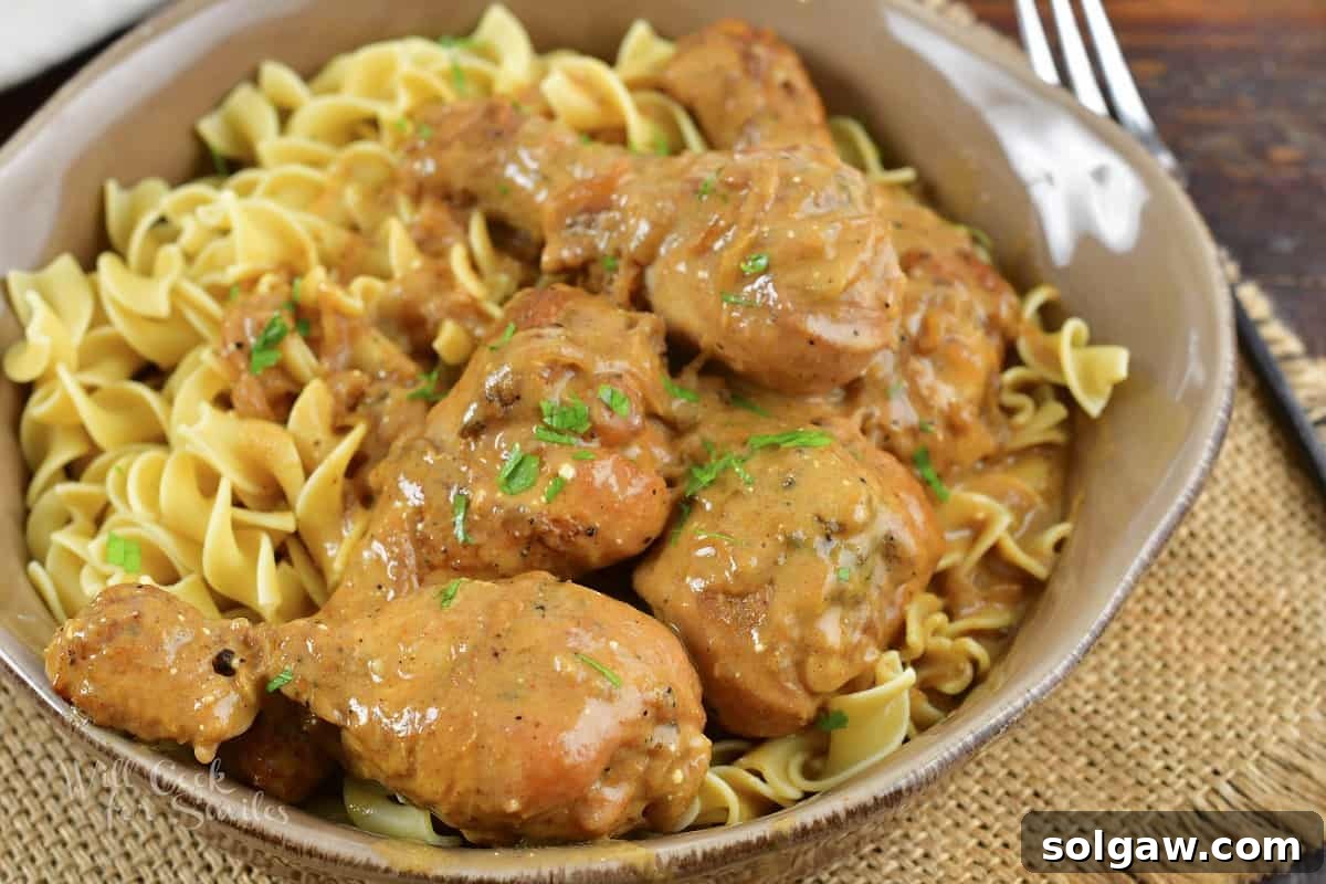 closeup of chicken paprikash over egg noodles in a bowl
