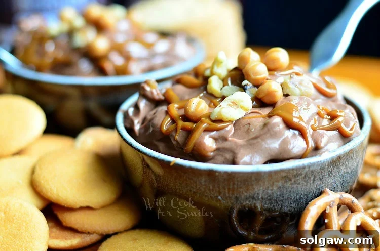 close up horizonal photo of Chocolate Fruit Dip in a blue bowl with pretzels to the right