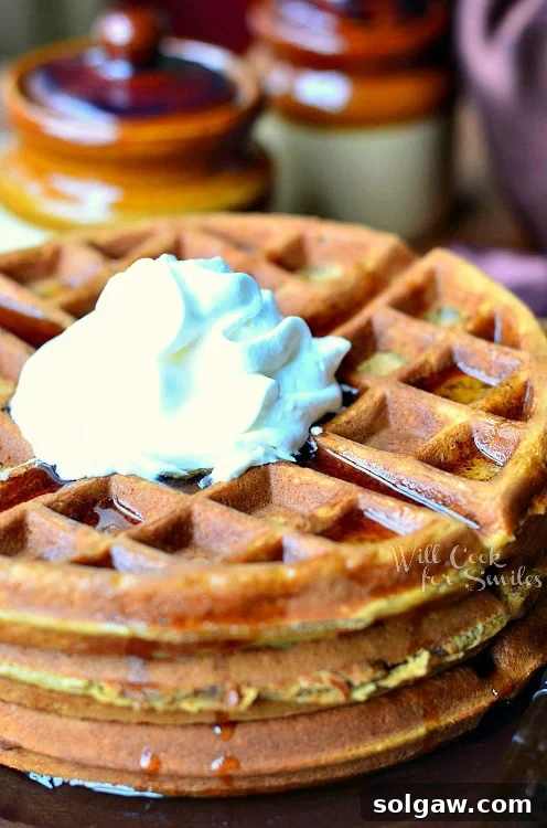 Gingerbread Waffles with syrup and whip cream on top