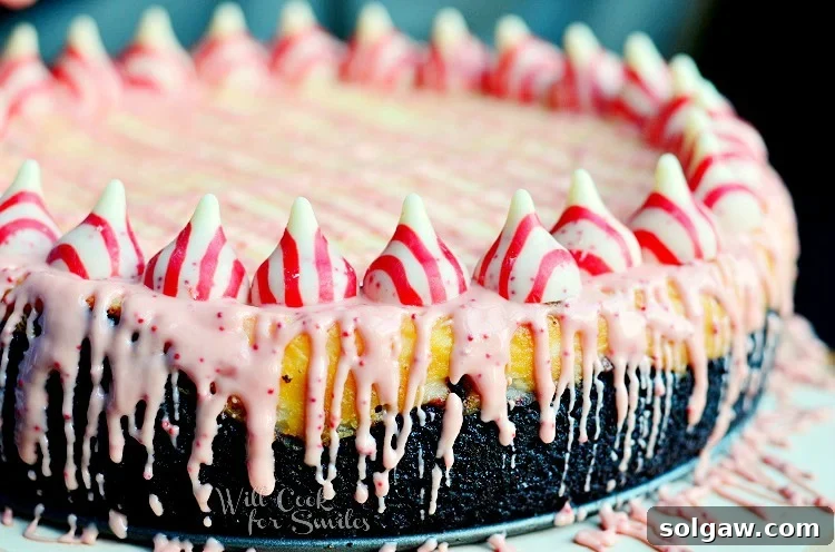 Oreo Crunch Peppermint Cheesecake 3 close up horizonal photo Peppermint Cheesecake with peppermint kisses along the outside and with Oreo Cake Crust