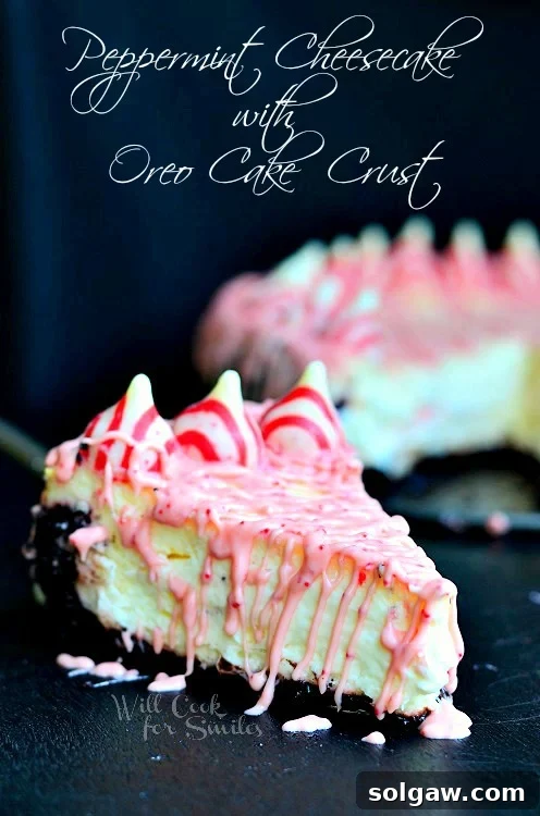 Oreo Crunch Peppermint Cheesecake 4 Peppermint Cheesecake with peppermint kisses along the outside slice