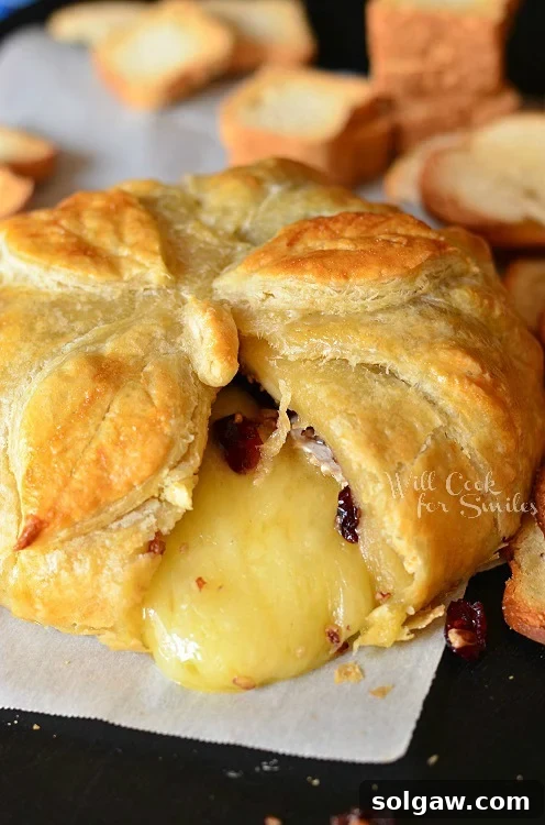 Golden Caramelized Onion Cheese Swirls 8 Cranberry Maple Baked Brie on wax paper with a slice cut out of it, revealing melted cheese and fruit.