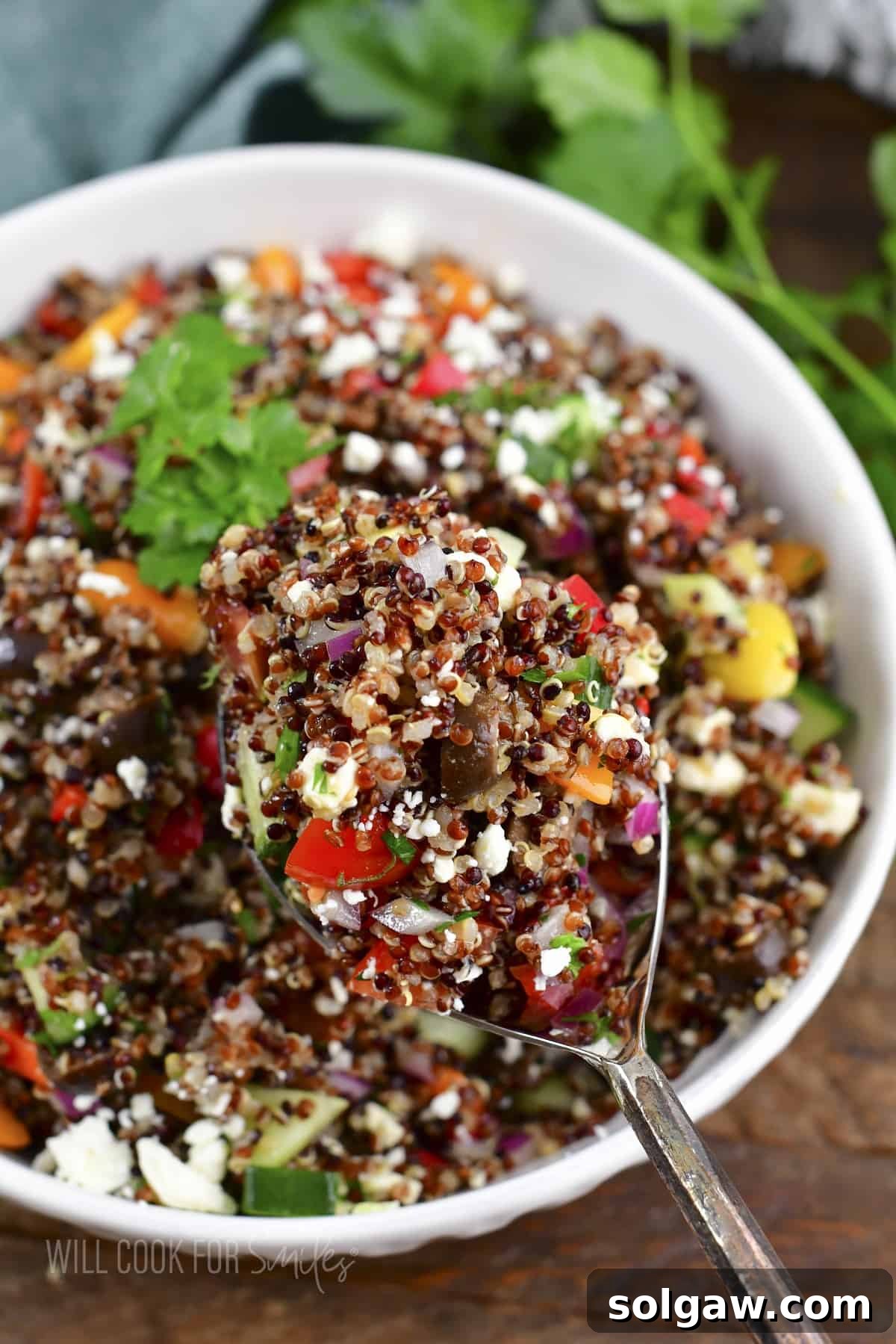 Sun-Kissed Quinoa and Feta Salad 8 closeup of spoonful of Mediterranean quinoa salad.